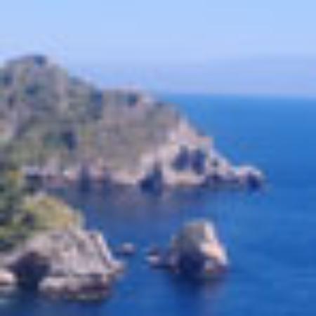 Charcoal fire Kushiyaki Senkushiyahonpo Iwaki